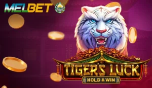 Luck of Tiger: Bonus Combo